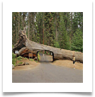 T251432_516829858332356_1084438028_n