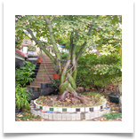 saSAM_0347 (2) - Copy