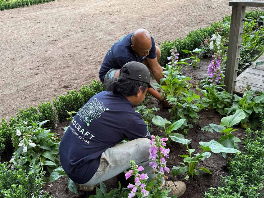 landcraft garden design team london oxfordshire about 6 (copy)