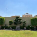 whatsapp image 2026 03 31 at 12.35.44 pm