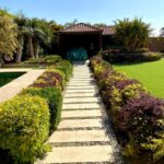 whatsapp image 2026 03 31 at 12.35.46 pm