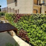 whatsapp image 2026 03 31 at 12.35.47 pm