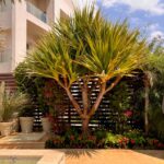 whatsapp image 2026 03 31 at 12.35.47 pm (2)