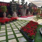 whatsapp image 2026 03 31 at 12.35.47 pm (3)