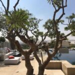 whatsapp image 2026 03 31 at 12.35.48 pm (3)