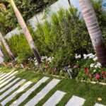 whatsapp image 2026 03 31 at 12.35.48 pm (4)