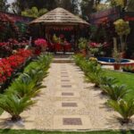 whatsapp image 2026 03 31 at 12.35.48 pm (6)