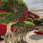 whatsapp image 2026 03 31 at 12.35.49 pm (2)