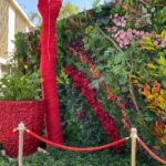 whatsapp image 2026 03 31 at 12.35.49 pm (4)