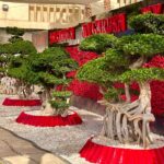 whatsapp image 2026 03 31 at 12.35.49 pm (5)