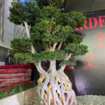 whatsapp image 2026 03 31 at 12.35.50 pm (1)