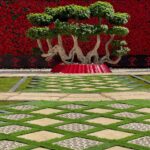 whatsapp image 2026 03 31 at 12.35.50 pm