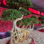 whatsapp image 2026 03 31 at 12.35.50 pm (2)