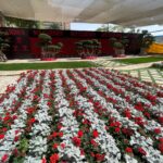 whatsapp image 2026 03 31 at 12.35.50 pm (5)