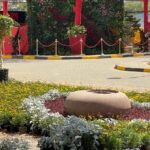 whatsapp image 2026 03 31 at 12.35.51 pm (1)