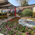 whatsapp image 2026 03 31 at 12.35.51 pm