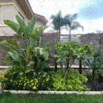 whatsapp image 2026 03 31 at 12.35.51 pm (3)