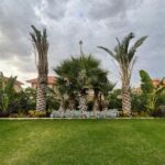 whatsapp image 2026 03 31 at 12.35.51 pm (4)