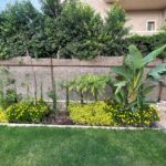 whatsapp image 2026 03 31 at 12.35.51 pm (5)