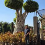 whatsapp image 2026 03 31 at 12.35.52 pm (1)