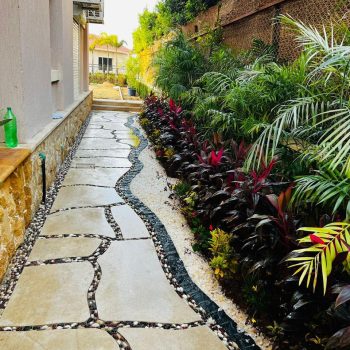 whatsapp image 2026 03 31 at 12.35.42 pm