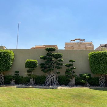 whatsapp image 2026 03 31 at 12.35.44 pm