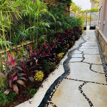 whatsapp image 2026 03 31 at 12.35.47 pm (1)