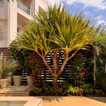 whatsapp image 2026 03 31 at 12.35.47 pm (2)