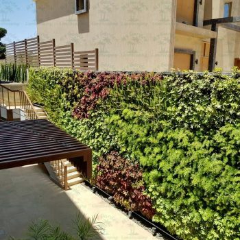 whatsapp image 2026 03 31 at 12.35.47 pm