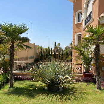 whatsapp image 2026 03 31 at 12.35.48 pm (1)