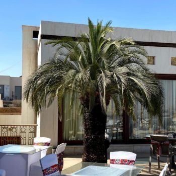 whatsapp image 2026 03 31 at 12.35.48 pm (5)