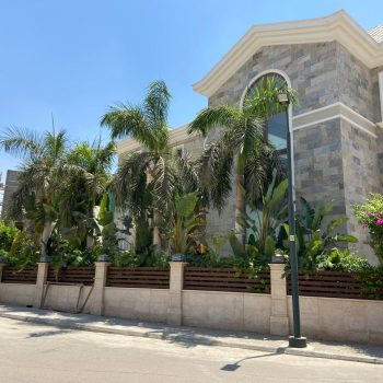 whatsapp image 2026 03 31 at 12.35.48 pm