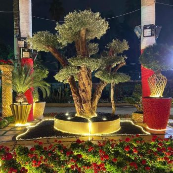 whatsapp image 2026 03 31 at 12.35.49 pm (1)