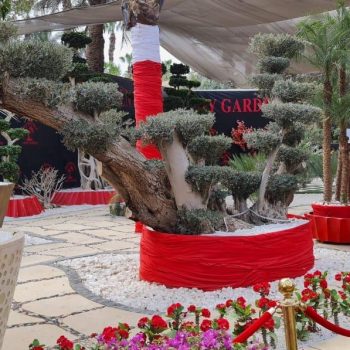 whatsapp image 2026 03 31 at 12.35.49 pm