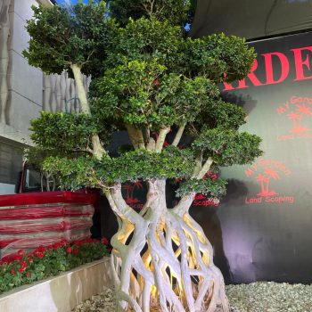 whatsapp image 2026 03 31 at 12.35.50 pm (1)