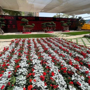 whatsapp image 2026 03 31 at 12.35.50 pm (5)