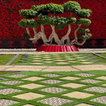 whatsapp image 2026 03 31 at 12.35.50 pm