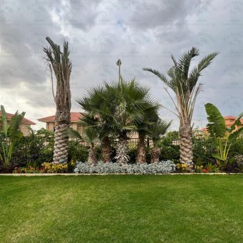 whatsapp image 2026 03 31 at 12.35.51 pm (4)