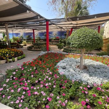 whatsapp image 2026 03 31 at 12.35.51 pm